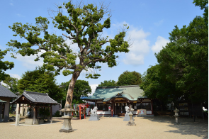大阪府八尾市