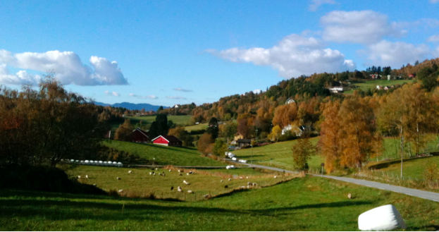 Hjelmeland