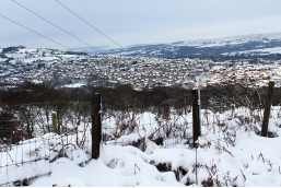 Aberdare, Rhondda Cynon Taff, Wales, UK